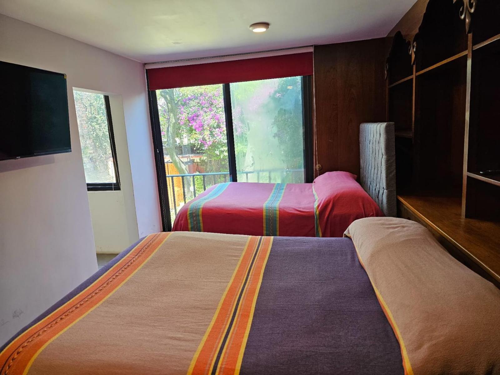 Terraza & Loft San Angel Homestay Mexico City