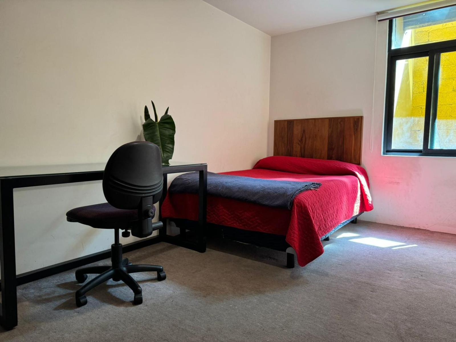 Privatunterkunft Terraza & Loft San Angel Mexiko-Stadt