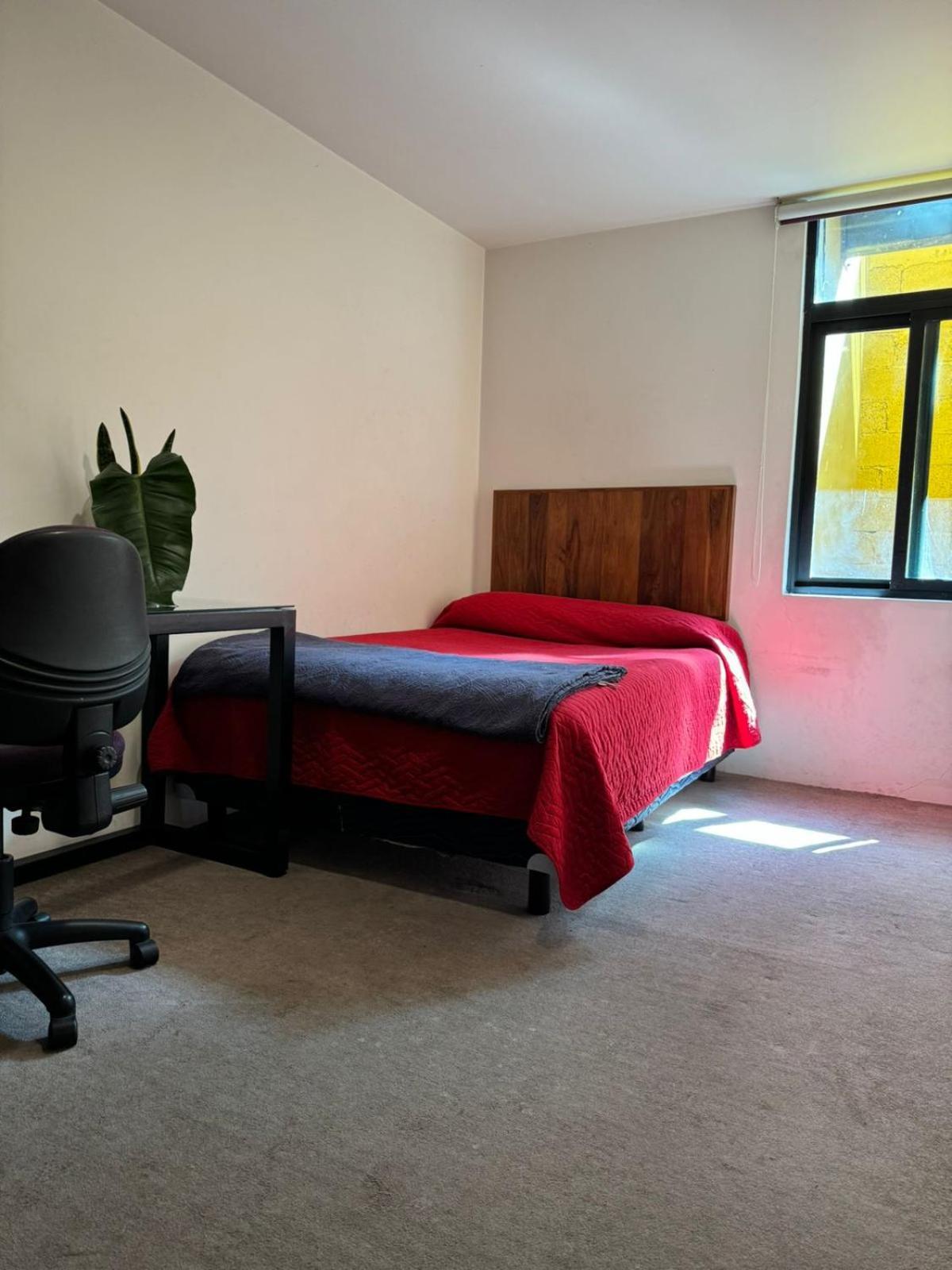 Terraza & Loft San Angel Privatunterkunft Mexiko-Stadt