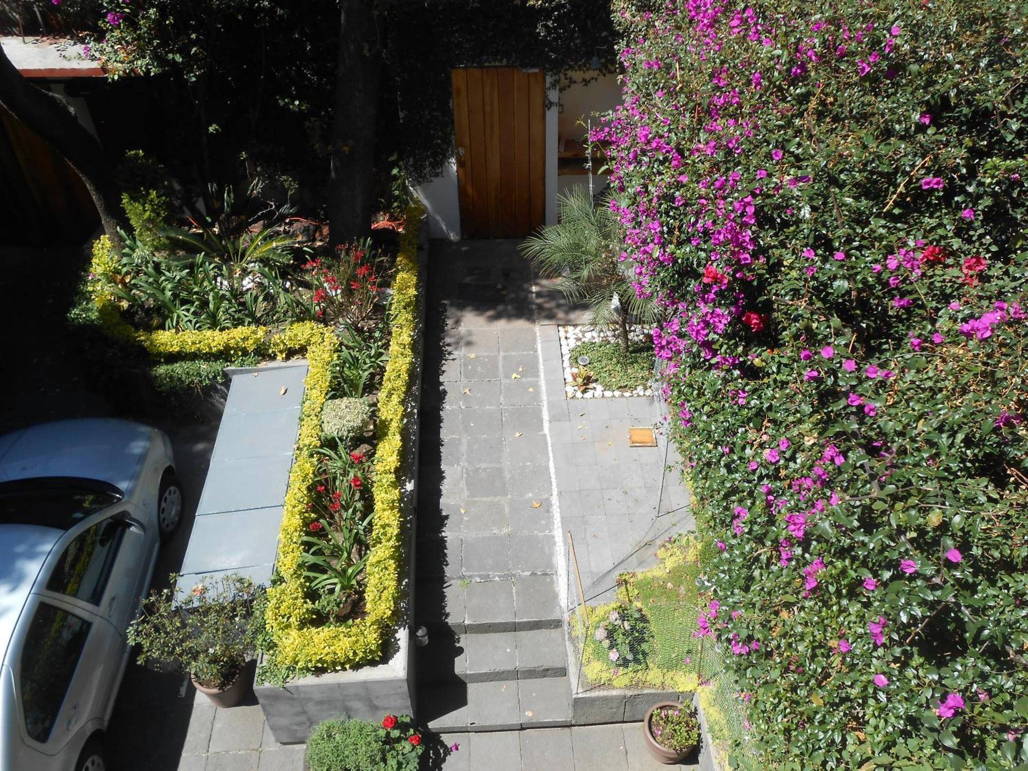 Privatunterkunft Terraza & Loft San Angel Mexiko-Stadt
