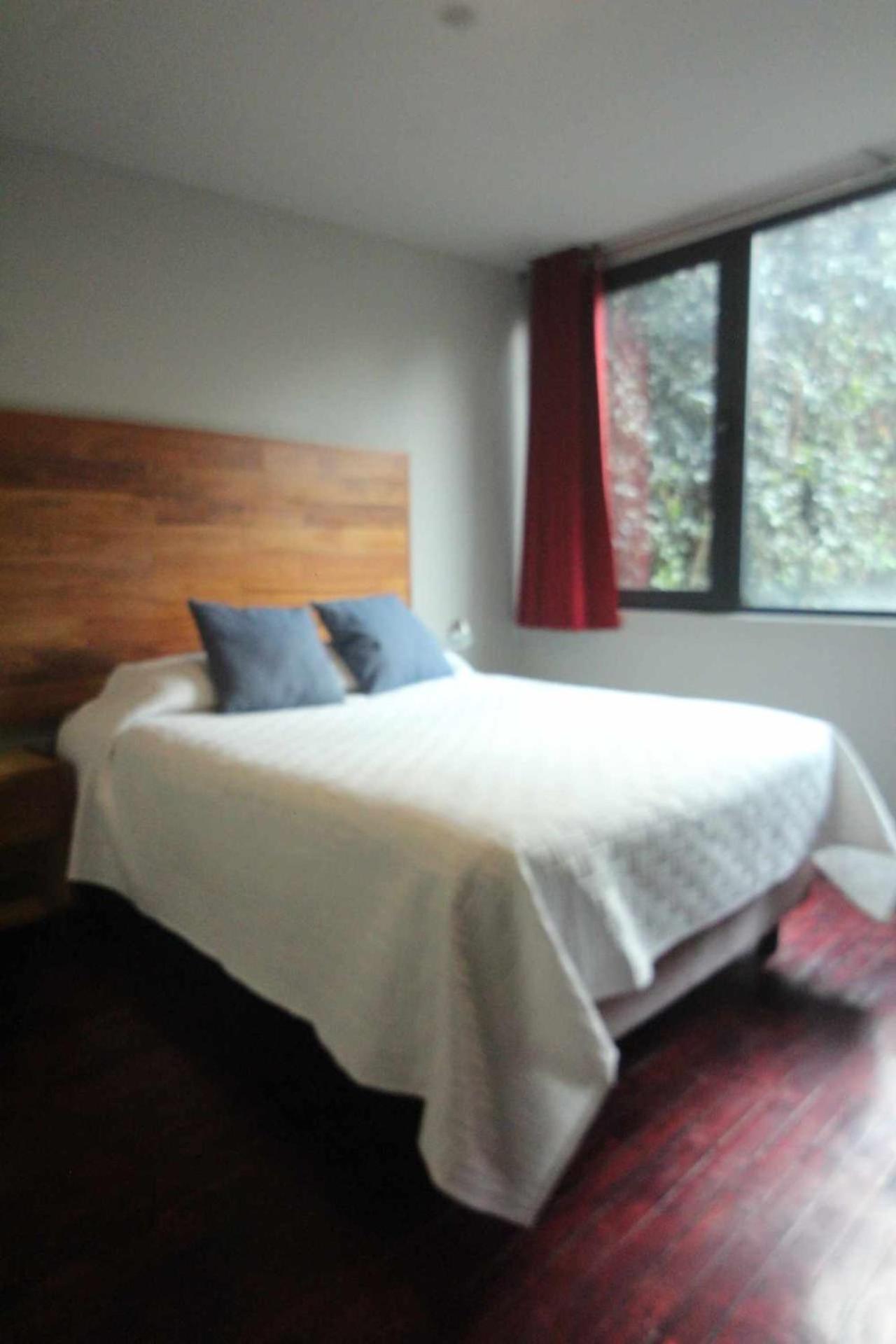 Terraza & Loft San Angel Privatunterkunft *